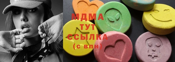 ГАЛЛЮЦИНОГЕННЫЕ ГРИБЫ Лагань