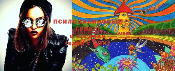 эйфоретик Елизово