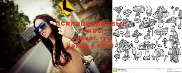 эйфоретик Елизово
